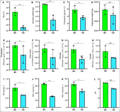 Plant growth and stress-regulating metabolite response to biochar utilization boost crop traits and soil health